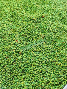 OEM Crunchy Roasted Green Peas Garlic Chili Flavor Bulk Export Private Label Healthy Food - Product Image 3