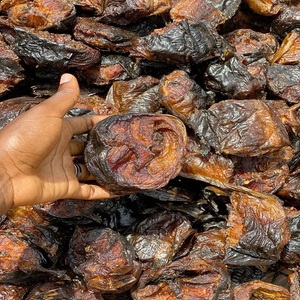 Achetez du poisson-chat africain séché de qualité supérieure, livraison rapide, vente en gros, emballage sous vide, haute qualité, 25 kg, riche en protéines, collation, repas prêt à consommer - Product Image 3