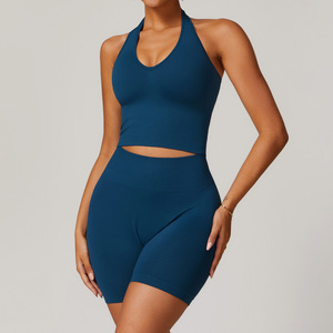 Ensembles de sport et de fitness sans coutures pour femmes : hauts, ensembles de yoga et brassières de sport - Product Image 4