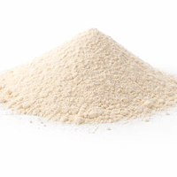 Poudre de Probiotiques pour Aliments Avicoles (Pondeuses, Reproducteurs, Poulets de Chair) Emballage 25kg Sans Arôme Taux d'Inclusion 0,5kg/t Durée de Conservation 12 Mois