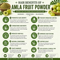 Best verkochte kruiden Amla poeder, natuurlijk Indiaas, 250g Amla poeder, Phyllanthus Emblica poeder, groothandel leverancier, OEM fabrikant India