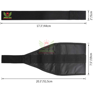 Ab Straps Slings Heavy Duty Neoprene Adjustable Anti-Slip Lightweight Straps for <b>Pull</b> <b>up</b> <b>Bar</b> - Product Image 5