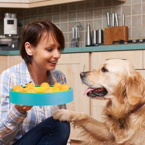 Ciotola Interattiva per Cani con Dispenser di Cibo, Giocattolo per Alimentazione Lenta e Dispensatore di Snack, Gioco di Movimento per Animali Domestici - Product Image 2