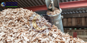 NGOC CHAU Sciure de bois naturelle en vrac, Ho Chi Minh City, pour système de chauffage à déchets agricoles, énergie de combustion écologique - Product Image 5