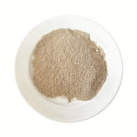 Poudre de champignons Maitake broyée pour boisson santé
