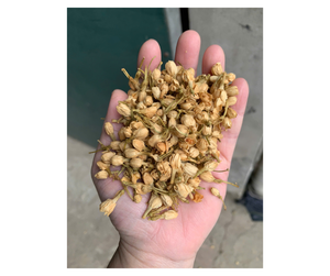 Botones de Jazmín Secos de Alta Calidad, Origen Vietnam - Flor para Té Herbal, Venta al Por Mayor para Exportación - Product Image 5