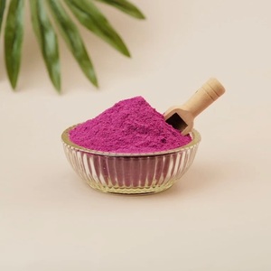 Exportateur de poudre de fruits naturels, poudre de fruit du dragon du Vietnam - Product Image 1
