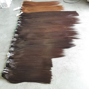 100% Remy Super <b>Double</b> Drawn Virgin Hair Raw Vietnamese Bone Straight Human Hair Weave Bundles Single Weft 100g VNHL Model 563 - Product Image 2
