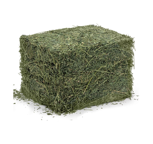 Heno de Alfalfa/Heno de Timothy/Heno para Alimentación Animal, Precio al por Mayor de Heno de Alfalfa - Product Image 2