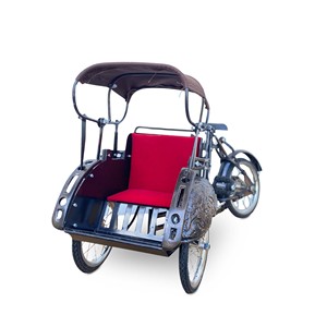 Modelo Decorativo en Miniatura de Bicitaxi (Rickshaw) de Metal y Hierro Hecho a Mano, para Decoración del Hogar y Recuerdos - Product Image 3