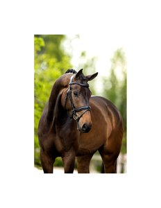 Têtière de spectacle pour cheval Western de qualité supérieure, en cuir, avec boucles argentées, design fantaisie à double oreille coulissante - Product Image 5