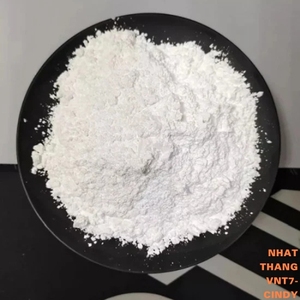 CaCO3 ultra-fin de qualité supérieure de haute qualité GCC meilleur prix multi-applications remplissage de peinture industrielle Masterbatch Nghe an Vietnam - Product Image 2