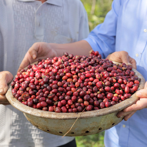 Granos de café verde Robusta vietnamita de alta calidad, procesados a partir de granos de café secados al sol de forma natural, para exportación en grandes cantidades. - Product Image 3