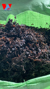 POLVO DE ALGA SARGASSUM SECA DE ALTA CALIDAD o MATERIA PRIMA/ Sra. Lima - Product Image 2