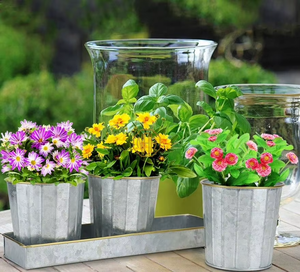 Ensemble de 3 pots à herbes rustiques en métal galvanisé, nervurés, pour plantes d'intérieur, avec plateau de drainage, pour cuisine, rebord de fenêtre, balcon - Product Image 6