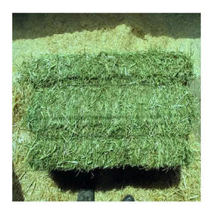 Heno de Alfalfa de Alta Calidad para Peces, Cerdos, Caballos y Ganado - Empaque a Granel - Product Image 1