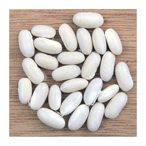 Haricots Blancs de Qualité Supérieure en Gros, Prix Abordable, Vente Promotionnelle, 100% Biologiques, Emballage Personnalisé - Product Image 2