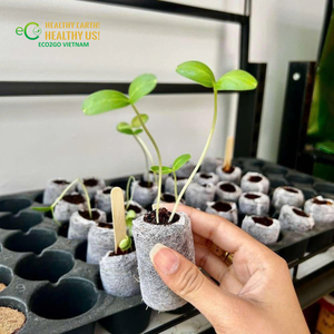 Crecer con más inteligencia con los pellets de turba de coco: tapones de fibra de coco compactos y expandibles para la germinación de semillas, la producción de plántulas y el cultivo en viveros. - Product Image 6