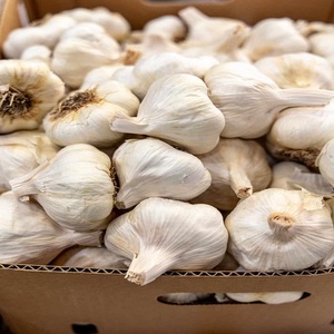 Ajo Pelado Blanco Puro Fresco Orgánico Premium |   Bulbos de Ajo de Grado Alimenticio para Cocinar |   Duración de Caducidad: 6 Meses |   Al por Mayor |   5.5 cm |   5 kg - Product Image 2