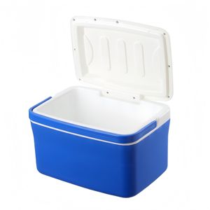 PP/EPS Cooler <b>Box</b> Food Beverage Eco-Friendly Modern Style Multi-Functional Outdoor <b>Camping</b> Portable Letter Pattern 195mm Depth - Product Image 3