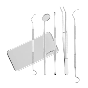 2026 Customized High Quality Stainless Steel Manual Dental Examination Kit with Dental Mirror and <b>Tooth</b> Care <b>Tools</b> - Product Image 3