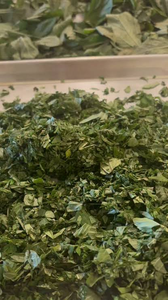 Molokhia Congelada TRADICIONAL en Paquete de 454g para Sopas y Guisos - Product Image 3