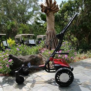 Factory Hot Selling <b>Golf</b> Caddy Electric Follow <b>Remote</b> <b>Golf</b> Cart Electric <b>Golf</b> <b>Trolley</b> Lithium Battery - Product Image 2