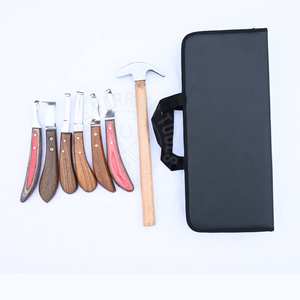 Kit completo de herramientas para herrador de caballos con cuchillo de absceso Rainbow, cuchilla en D, cuchilla de corte afilada de doble cara, cuchilla estrecha y martillo - Product Image 1