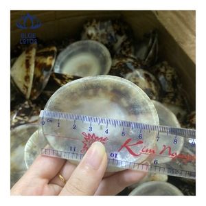 <b>BLUE</b> LOTUS Vietnam Organic Material Eco-Friendly Oval Crushed Limpet Shells Handicrafts for Breastfeeding <b>Bra</b> Design Souvenir - Product Image 1