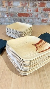 Assiettes carrées compostables en feuille de palmier de 8 pouces pour la maison, les événements et la restauration – Lot de 25 assiettes pour samosas et biscuits - Product Image 1