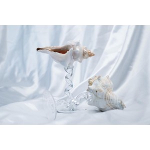 Fabriqué à partir de verre transparent de haute qualité et orné de détails inspirés des coquillages pour un attrait décoratif raffiné et une brillance durable. - Product Image 1