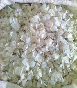 Écailles de poisson séchées en gros, énergie naturelle issue du poisson de mer, pour achat en vrac, fourniture pour les entreprises internationales de commerce alimentaire, Agroalimentation professionnelle - Product Image 3