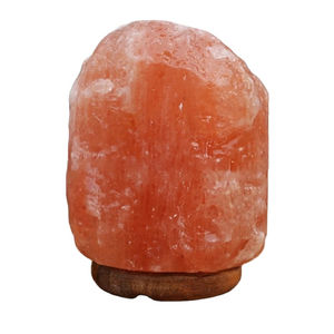 Lampe en sel de l'Himalaya 100% naturelle, sculptée rose, style Feng Shui, avec variateur d'intensité, la plus vendue - Product Image 2