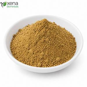 Proveedor Certificado de Hierbas, Extracto de Solanum Xanthocarpum en Polvo, Ingrediente Natural para Productos de Bienestar Respiratorio, OEM - Product Image 1