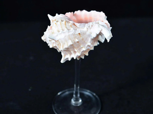 Copas de Vino Personalizadas con Diseño de Conchas Marinas 2026, Copas de Martini con Diseño de Conchas Marinas, Regalos para Damas de Honor de Boda, Regalos para Despedida de Soltera, Regalos de Aniversario - Product Image 3