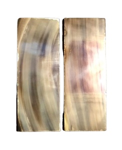 Placa Óptica Rectangular de Cuerno de Búfalo 100% Natural para Niños, Fotocromática, para Uso en Exteriores, Proveedor de la India - Product Image 2