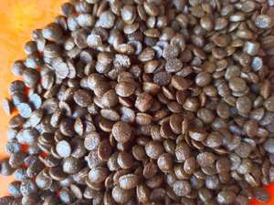 Nourriture sèche biologique premium riche en protéines pour chiens et chats, nutrition équilibrée, soin digestif sain, sans céréales, marque privée, exportation usine - Product Image 6