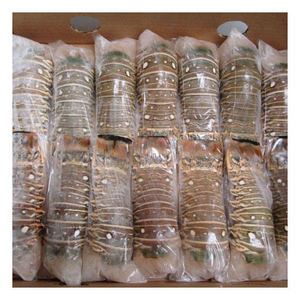 Colas de langosta congeladas de alta calidad para restaurantes, hoteles, servicios de catering y distribuidores de mariscos. - Product Image 4