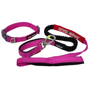 Guinzaglio e Collare per Cani Neo Indistruttibili Sportivi Ricamati, Spessi e Resistenti con Facile Controllo della Tensione per Compagni Canini Attivi - Product Image 2