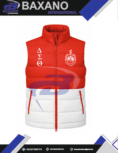 Delta |   Sigma |   Chaleco Acolchado Premium Theta DST Sorority, Chaleco Acolchado de Alta Calidad, Chaleco Acolchado para Mujer - Product Image 5