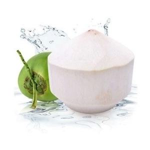 Cubos de Coco Fresco con Corte Diamante para Bebidas y Postres, Suministro al por Mayor - Product Image 1