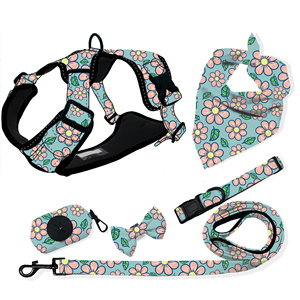 Pita Poliester Motif Hewan Rantai Emas Tali Tarik Otomatis Kalung Anjing Mewah Serbaguna <span class=keywords><strong>Harness</strong></span> Reflektif Ramah Lingkungan - Product Image 3