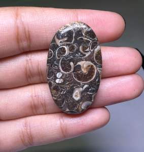 Lote al por mayor de cabujones de ágata TURRITELLA por peso con diferentes formas y tamaños utilizados para la fabricación de joyas, piedra TURRITELLA - Product Image 4