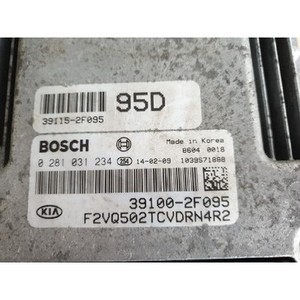 ECUs y Módulos de Computación Usados para Carnaval 391002F095 - Product Image 4