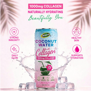 Purée d'eau de coco au collagène, saveur pastèque, canette 320ml, riche en nutriments, faible en glucides, hydratation, haute qualité, OEM ODM, marque privée - Product Image 3