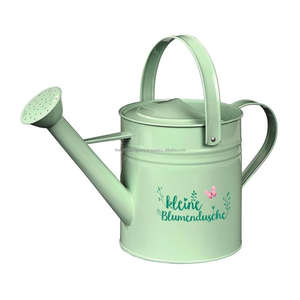 Accent Color Finished Decorative Watering Can Bulk <b>Supply</b> Galvanized <b>Nursery</b> Garden Accessories Metal and Iron Material - Product Image 1