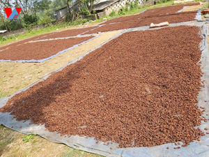 Anís estrellado entero, vainas de anís estrellado - 100% puro, Illicium Verum, Anis Estrella/ Ms. Lima - Product Image 2