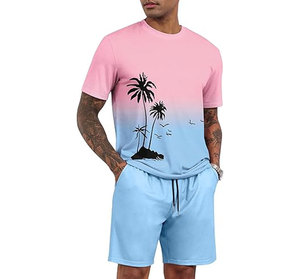 Men's 2 Piece Short Sleeve Tracksuit Tropical Graphic T Shirt Solid Shorts Set Summer Casual Outfits - Product Image 1