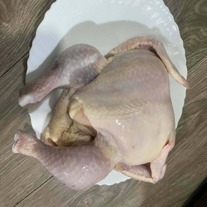 เนื้อไก่แช่แข็งคุณภาพสูง ฮาลาล ไก่ทั้งตัว สำหรับตลาดขายส่งระดับโลก ปรุงง่าย เหมาะสำหรับครอบครัวและร้านอาหาร - Product Image 3