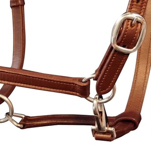 Polo Halter para Caballos, Diseño Ajustable de Cuero/Nylon con Hebillas Resistentes, Ajuste Cómodo, Correas Fuertes para Entrenamiento y Montar - Product Image 2